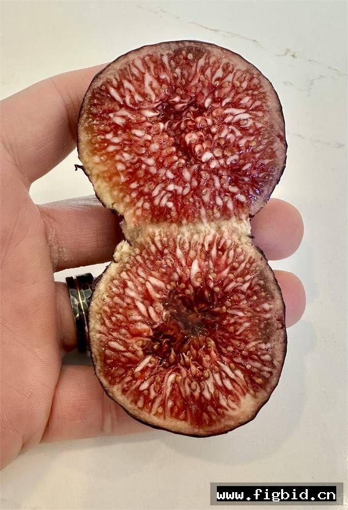迪卡/德卡 De Ca 无花果 标价为单芽价格