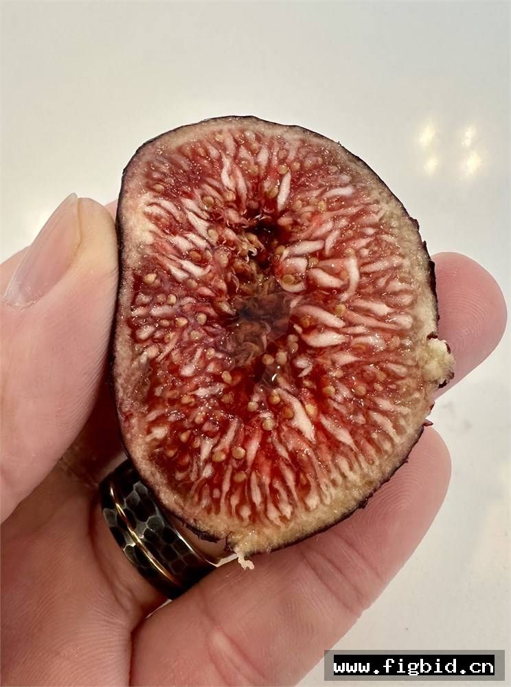 迪卡/德卡 De Ca 无花果 标价为单芽价格