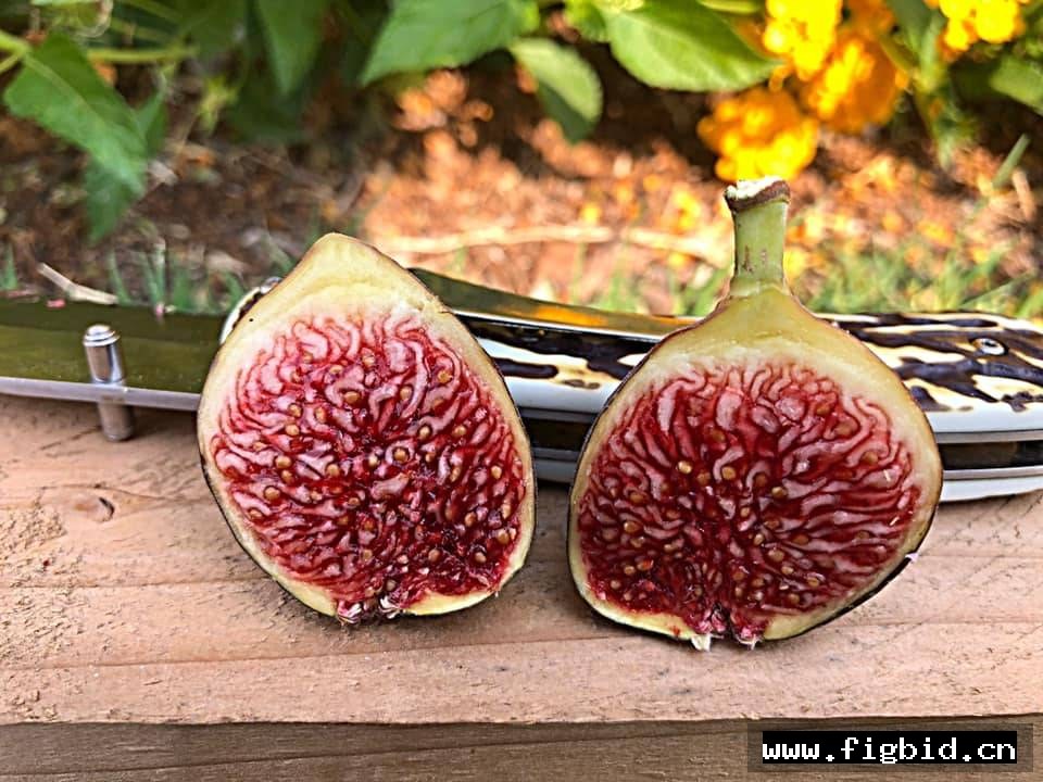 万叶/科斯美曼悠 Cosme Manyo 无花果 标价为单芽价格 满50包邮