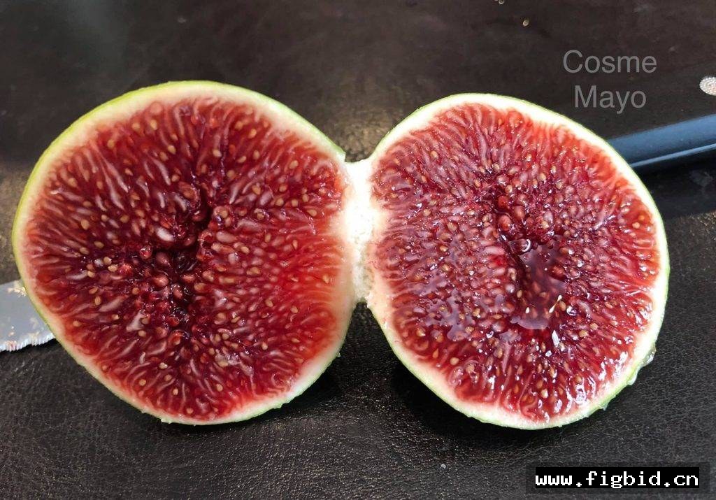 万叶/科斯美曼悠 Cosme Manyo 无花果 标价为单芽价格 满50包邮