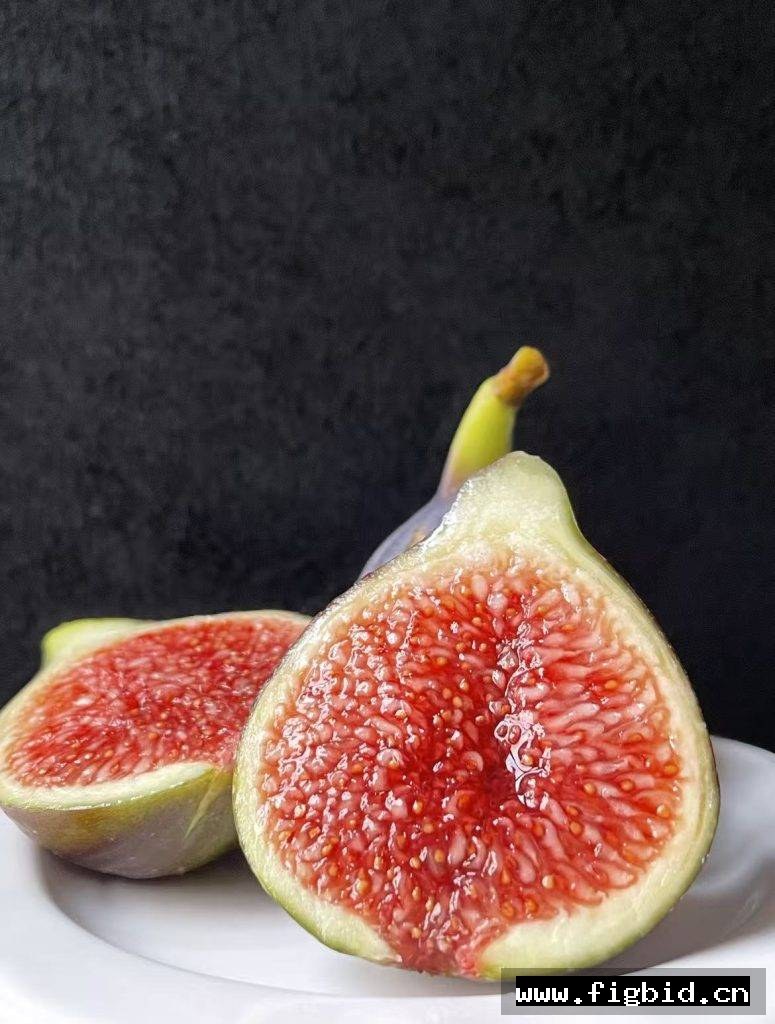 骑士 Cavaliere 无花果 标价为单芽价格 满50包邮