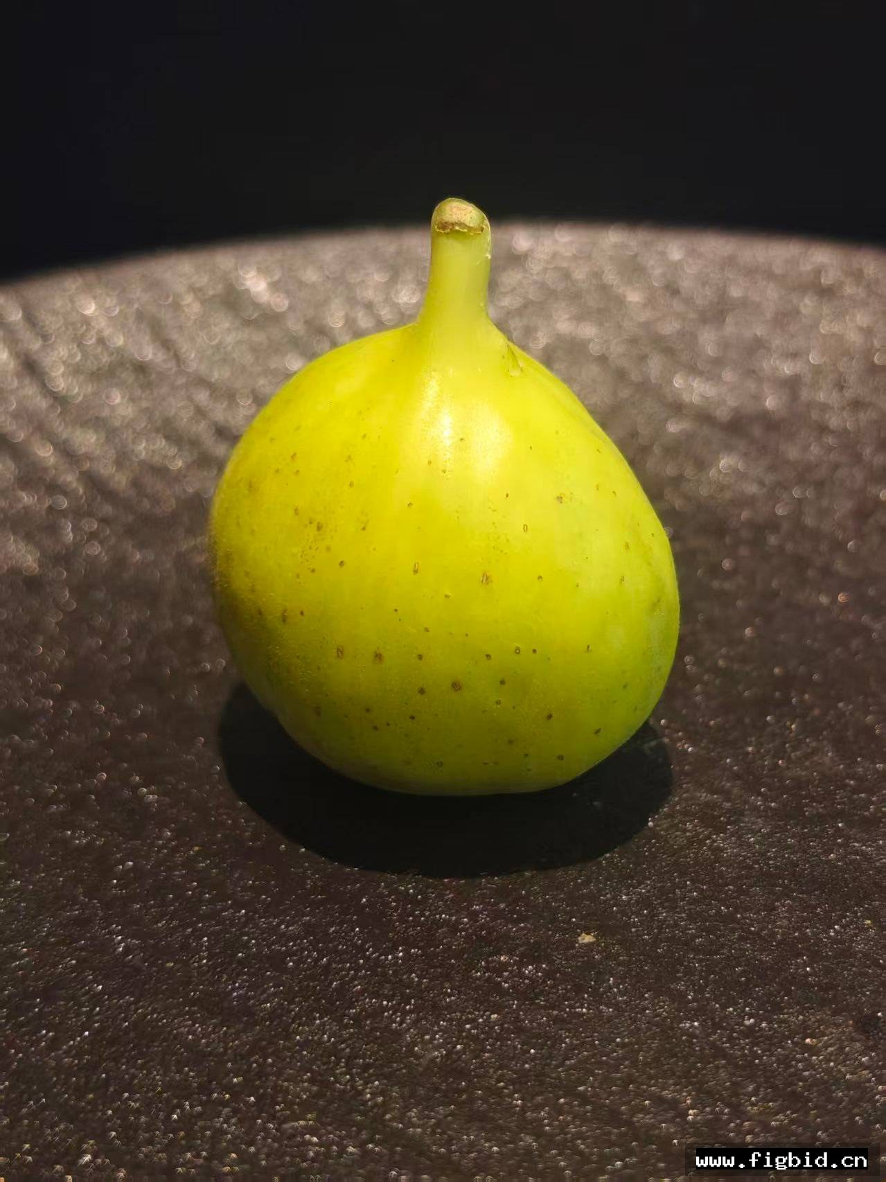 珍妮丝无籽高压包两个
